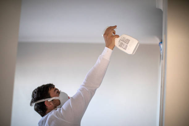 Best Certified Mold Removal  in Lake Elmo, MN